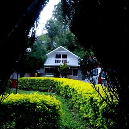 Golden Green Hotel Munnar Exterior foto