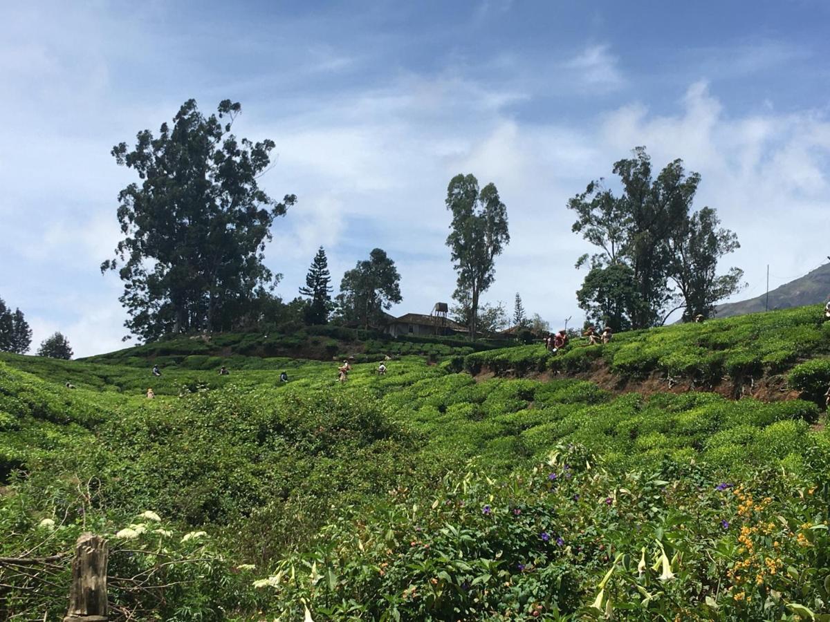 Golden Green Hotel Munnar Exterior foto
